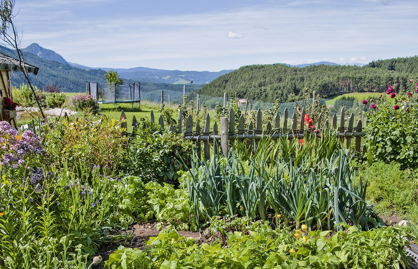 Bauernhof Produkte Garten