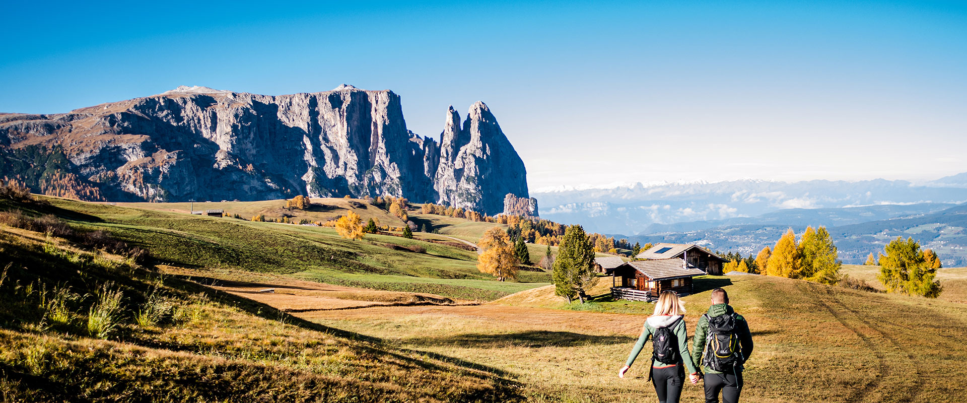 Herbst Angebot