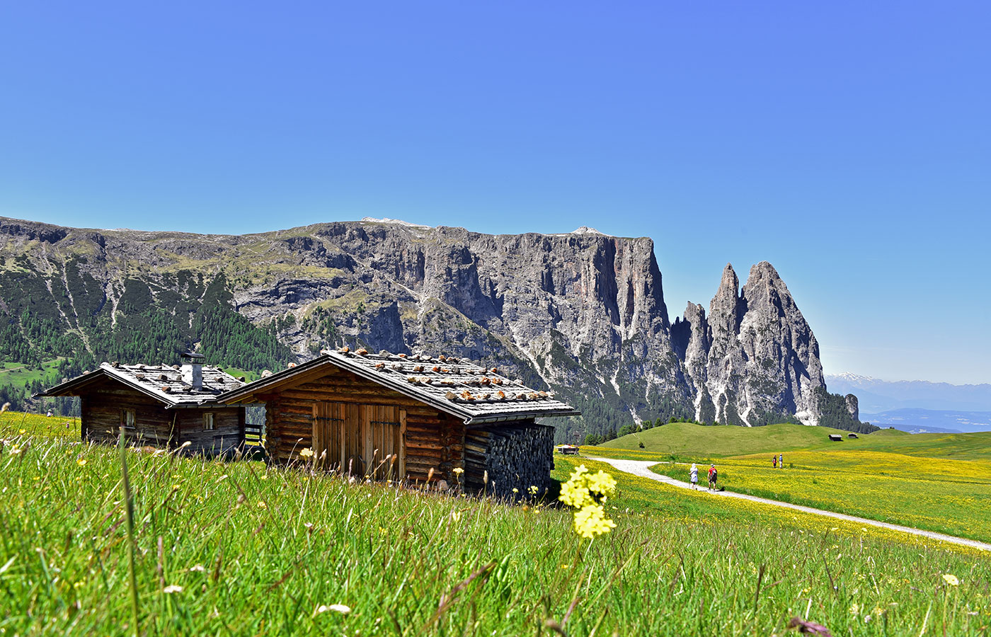 Seiser Alm Wandern Video