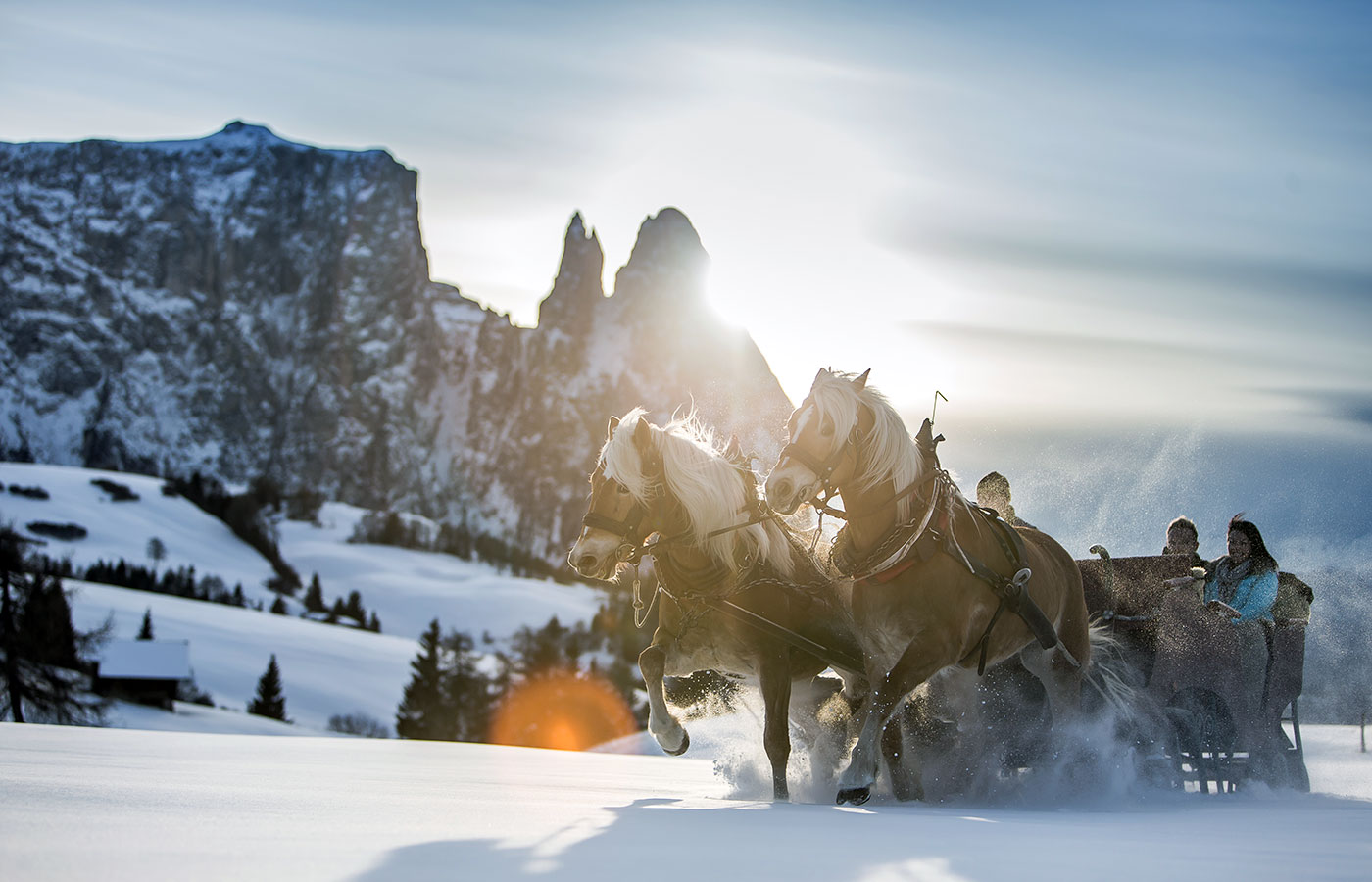 Seiser Alm Winter Pferdekutsche