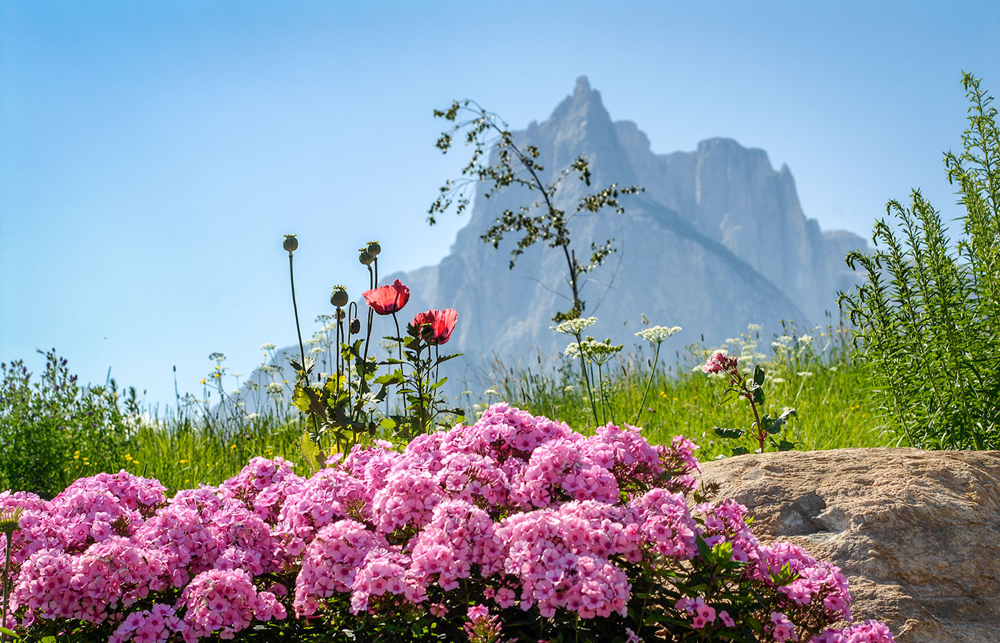 Wanderurlaub Seiser Alm 01