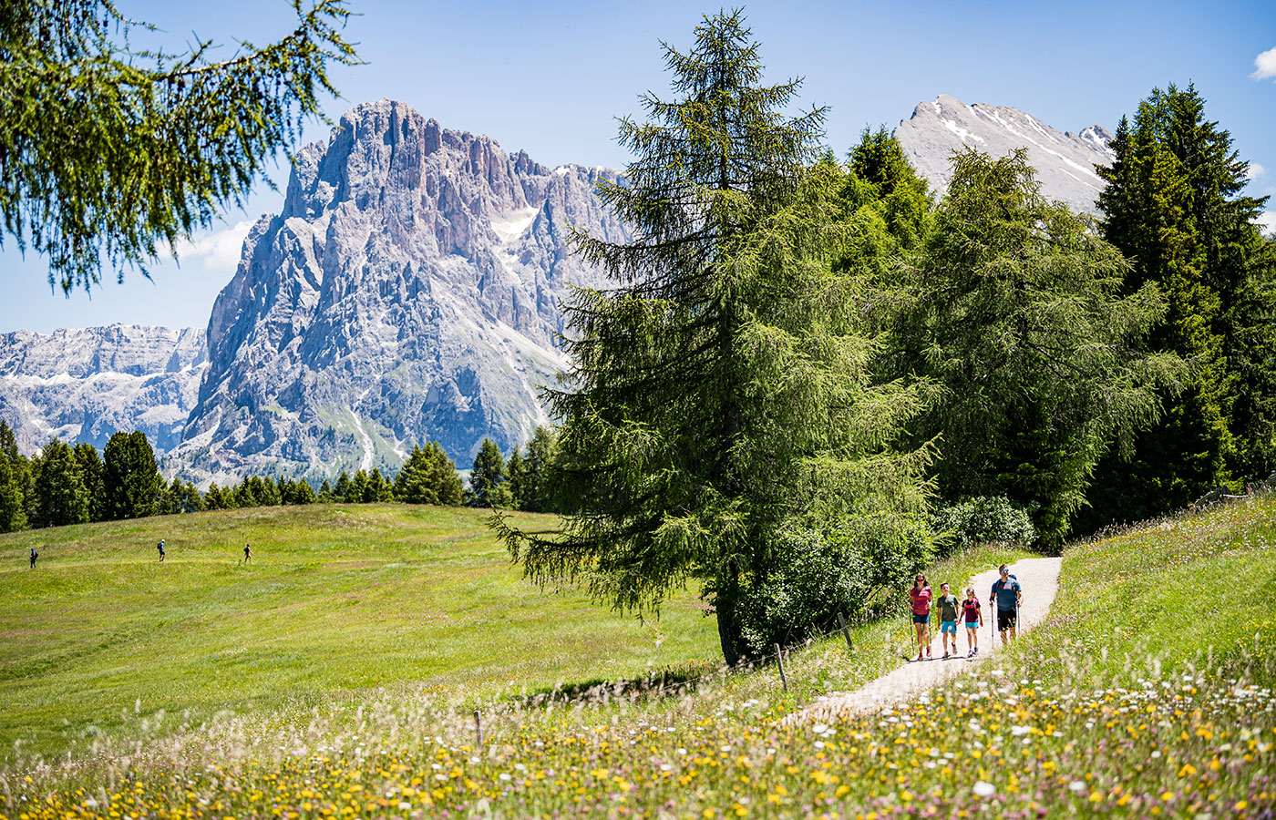 Wanderurlaub Seiser Alm 06