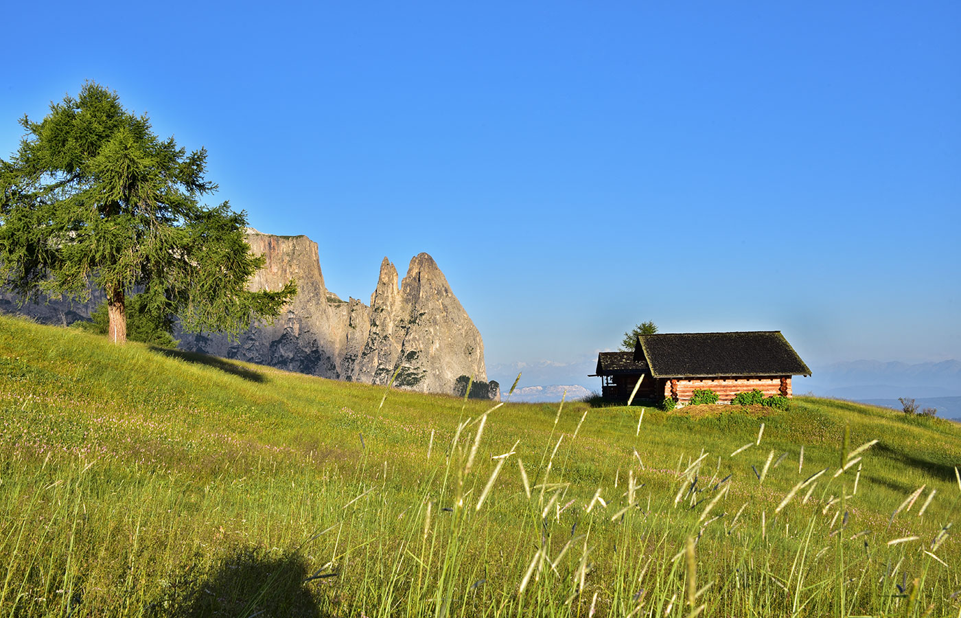 Wanderurlaub Seiser Alm 07